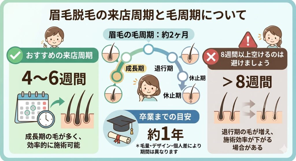 眉毛脱毛k(ニードル脱毛)の来店周期について